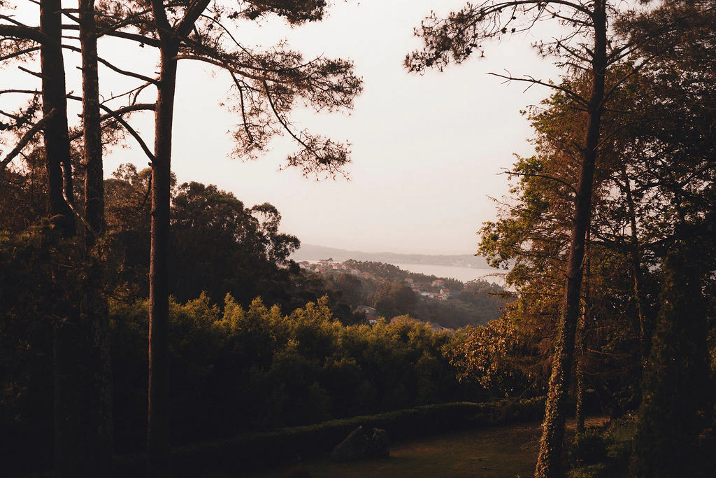 Alex and Brandon's real wedding in Galicia, photograph 12