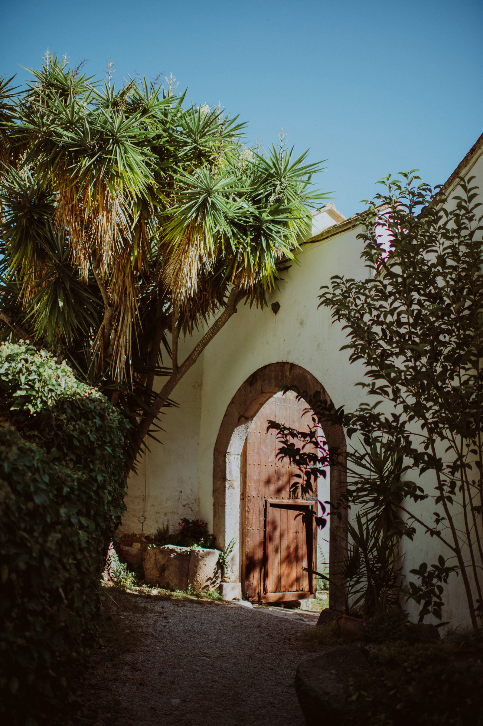 Fiona and James's real wedding in Sitges, photograph 19