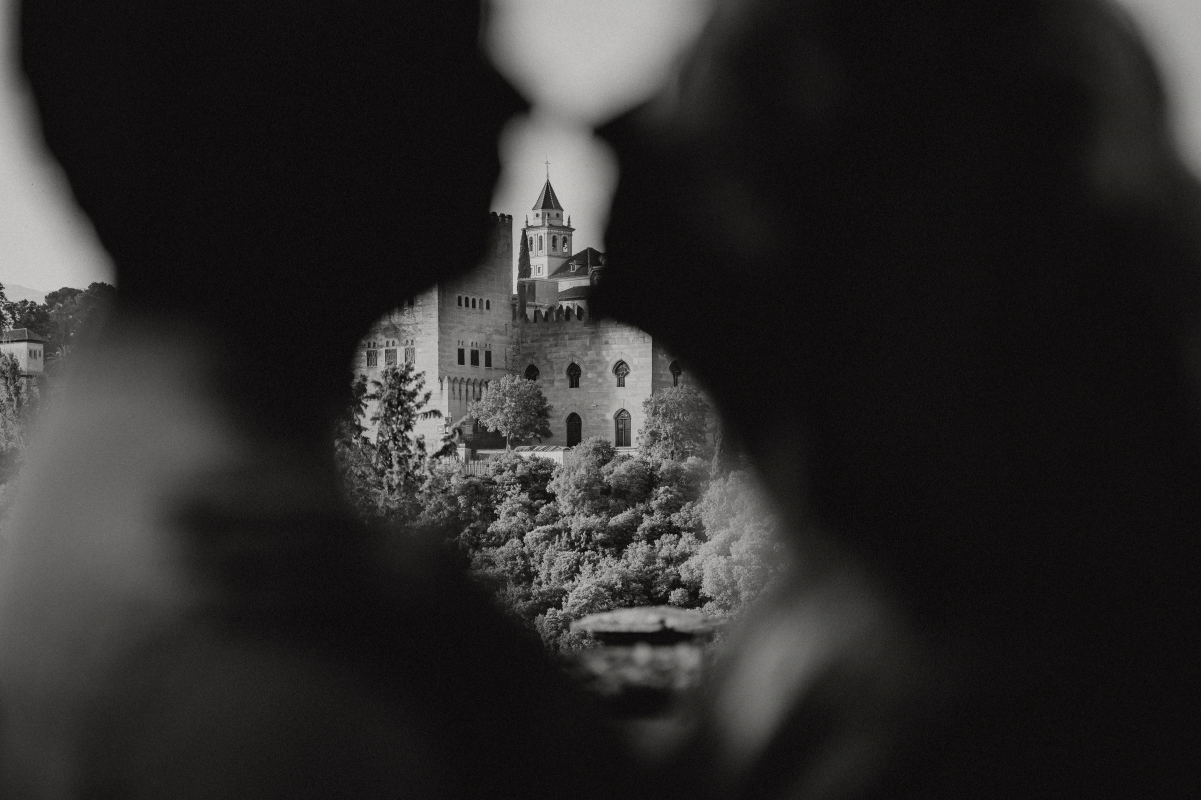Guillermo and Danielle's pre-wedding session in Granada, photograph 10