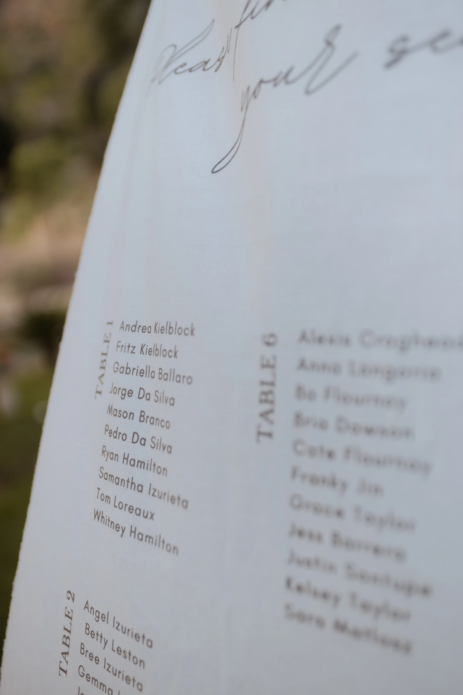 Sam and Pedro's real wedding in Mallorca, photograph 10
